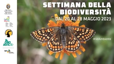 Tanti e tutti accattivanti gli eventi per la Settimana della biodiversità 2023