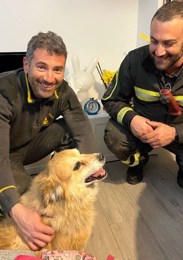 Salvato dai Vigili del fuoco cane incastrato in una tubazione