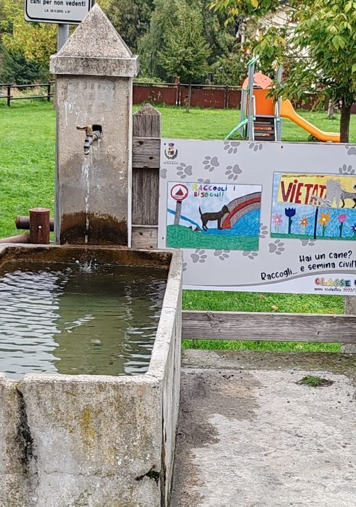 Aymavilles, a lezione di 'gestione canina' dagli studenti del paese