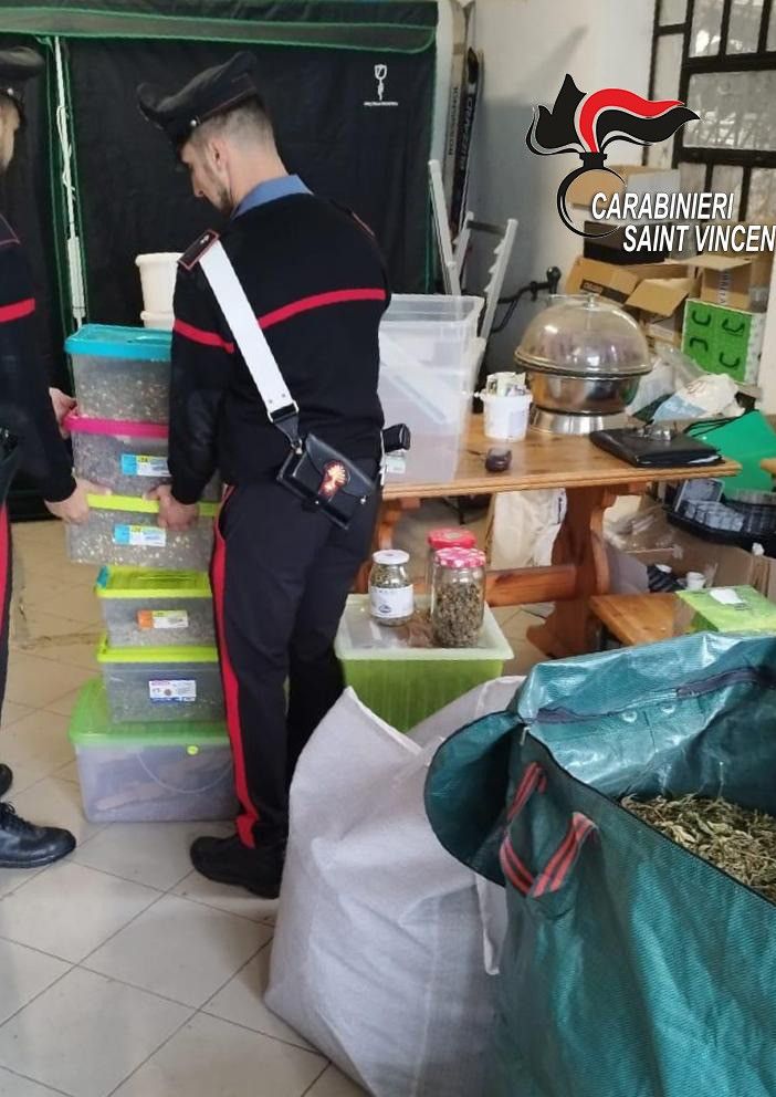 I carabinieri durante una fase del sequestro e, nella foto all'interno dell'articolo, parte della marijuana sequestrata