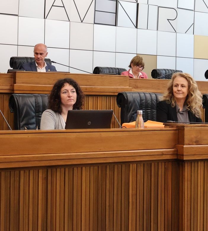 Il nuovo Piano energetico regionale illustrato alle commissioni competenti