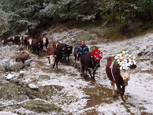 Valtournenche è pronta ad accogliere la grande festa della Desarpa