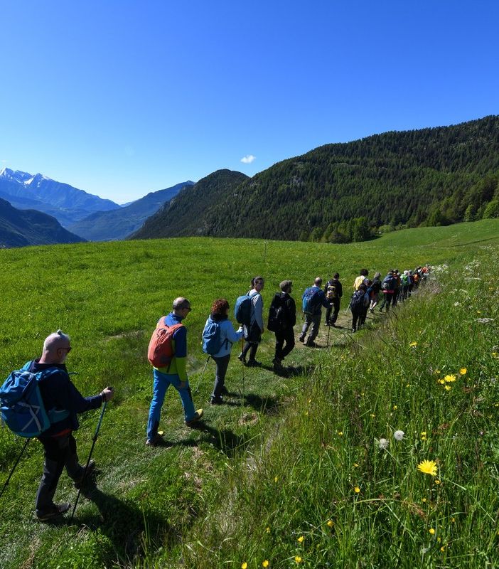 Quattro escursioni guidate gratuite lungo la via Francigena