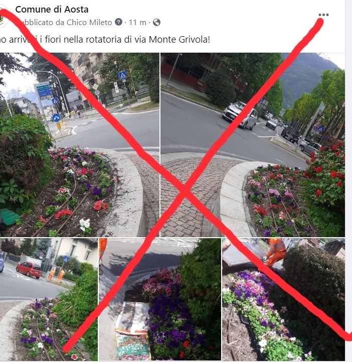 Aosta, il Comune pianta i fiori nella rotonda e qualcuno li ruba subito tutti
