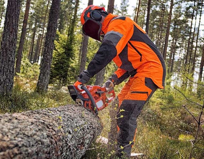 Avviata trattativa Regione-sindacati per rinnovo contratto forestali