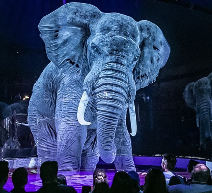 La 'grande magia' del circo Medini con animali olografici alla Croix Noire