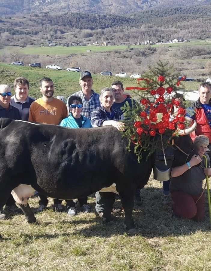 Merlitta, regina di Prima categoria