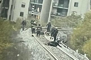 Bovini travolti e uccisi dal treno a Saint-Christophe