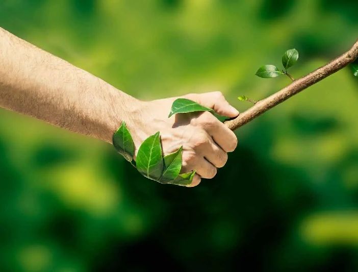 Herboplanet; il calendario webinar di gennaio, approfondimenti su salute e benessere