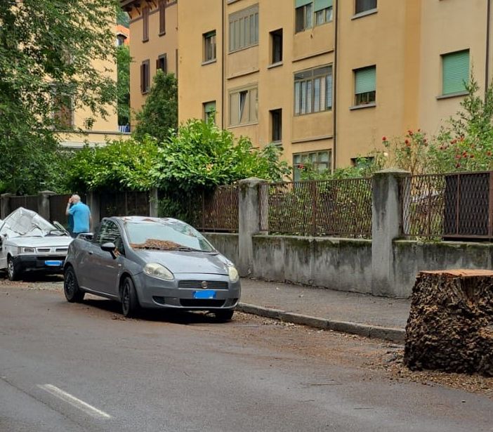 Aosta, olmi pericolanti, via Pollio Salimbeni non è sicura e resta chiusa