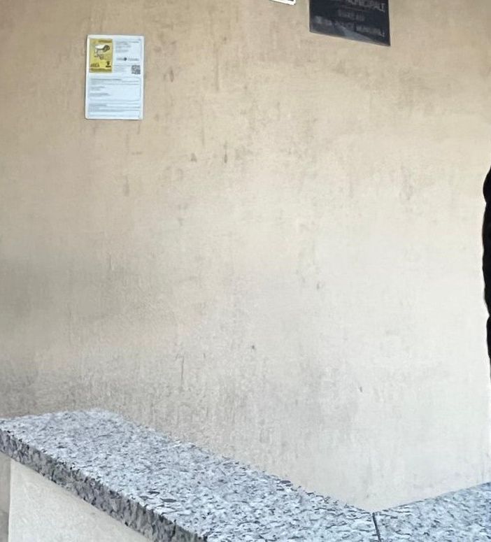 Liliana Padurariu (a dx) insieme a un conoscente con in braccio uno dei due cani all'esterno del Comando della 'Locale'