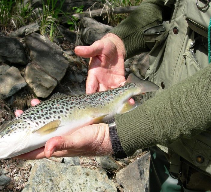 Pesca, in Valle due nuove riserve ittiche