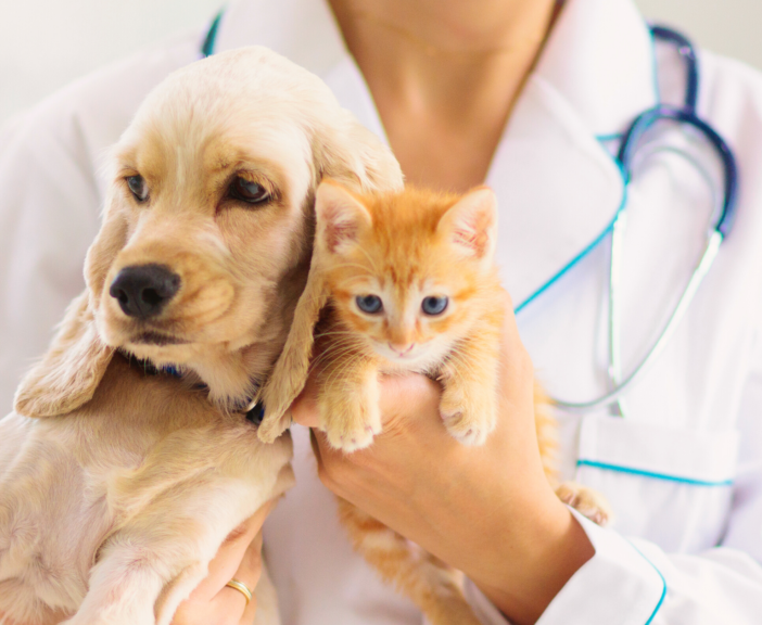C. Ganis (Lega VdA), 'Pet Therapy occasione da non perdere per la sanità valdostana'