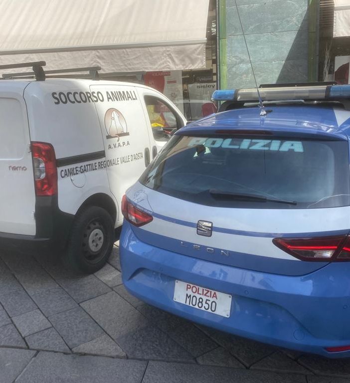 Sul posto anche polizia e soccorso animali