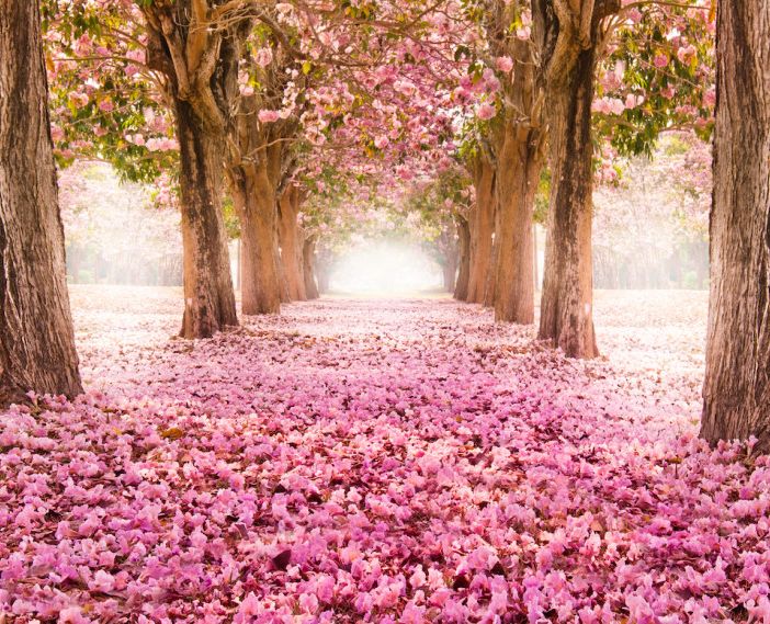 E' di nuovo primavera, siamo pronti al risveglio?