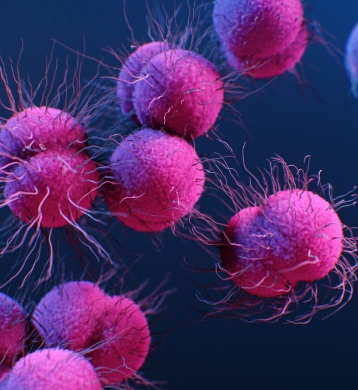 Il ruolo di alcuni estratti vegetali nel trattamento del colon irritabile