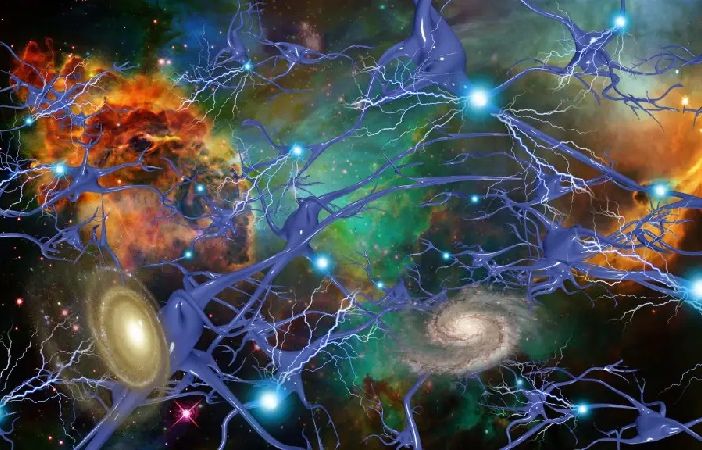 Micro e macrocosmo; l’universo come il cervello umano