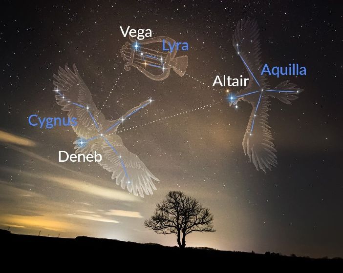 PhotoCredit: Starwalk.space