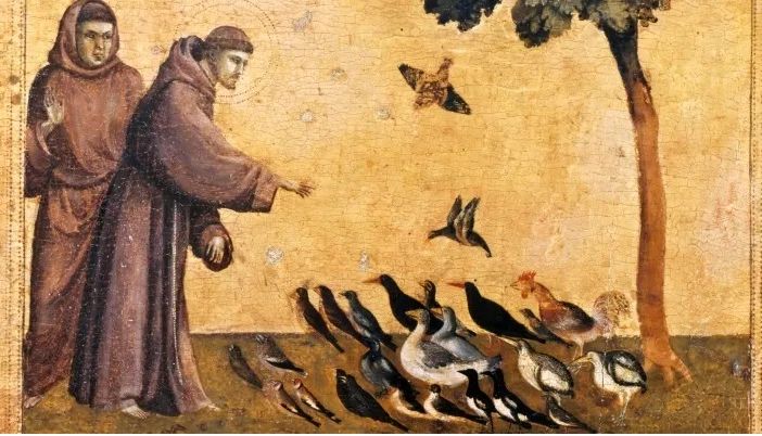 Oggi si celebra San Francesco D 'Assisi; la sua vita e il suo pensiero