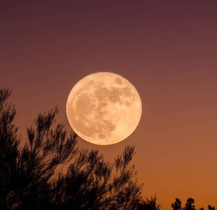 Arriva questa sera e se ne andrà domenica l'ultima 'Superluna' del 2024