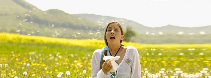 Photo Credits: siQuri.com Photo Credits: siQuri.com