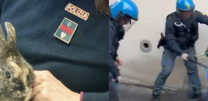 Il coniglio e il manganello Il coniglio e il manganello