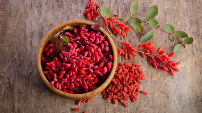 PhotoCredits: endocrinologiaoggi.it PhotoCredits: endocrinologiaoggi.it