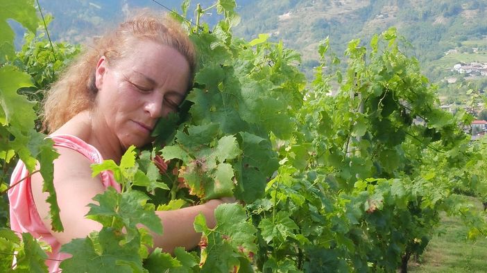 Anna De Santis Anna De Santis