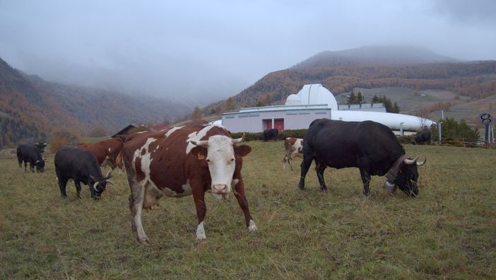 Nelle sale valdostane 'Segnali di vita', che a St-Barthélemy racconta la bellezza dell'umano Nelle sale valdostane 'Segnali di vita', che a St-Barthélemy racconta la bellezza dell'umano