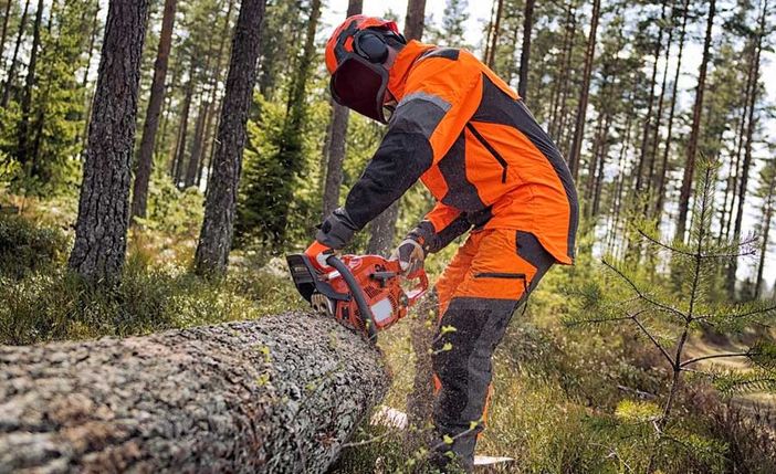 Primo 'si' al Piano 2024-2026 degli interventi idraulico-forestali
