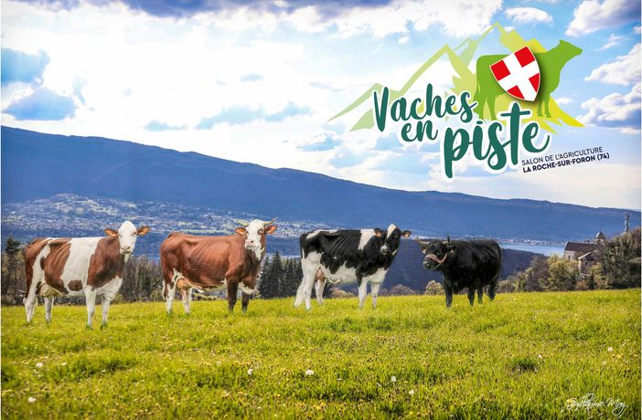 La Valle d'Aosta a 'Vaches en piste' per valorizzare l'allevamento in territorio alpino