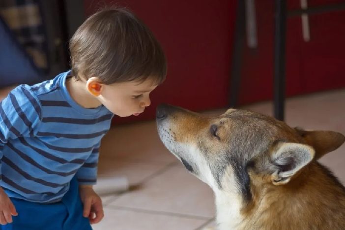 PhotoCredits: AmicaVeterinaria