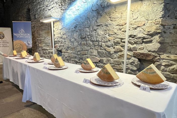 Modon d'Or 2026, pubblicato il regolamento del concorso