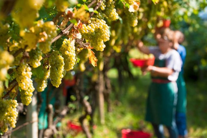 Istituzioni e agricoltori si confrontano su presente e futuro dell’agricoltura in montagna