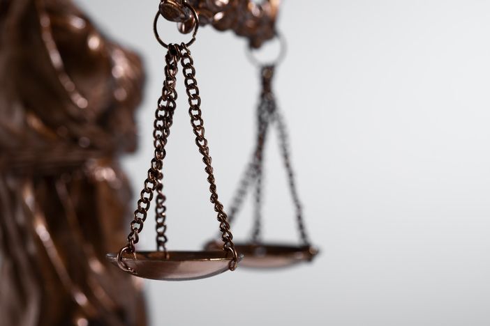 Gli animali diventano 'soggetti di diritto' Gli animali diventano 'soggetti di diritto'