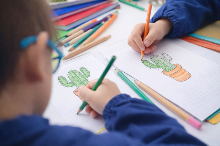 Cinema a scuola, la Valle tra i territori più coinvolti da Cactus Edu