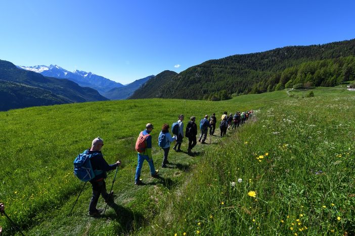 Quattro escursioni guidate gratuite lungo la via Francigena