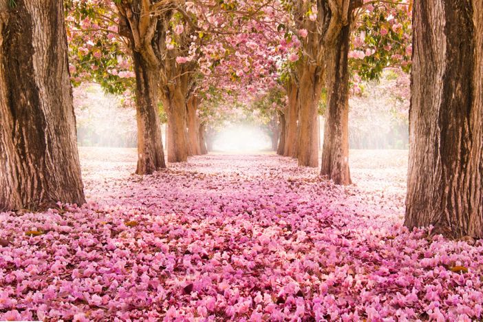 E' tornata primavera, siamo pronti al risveglio?