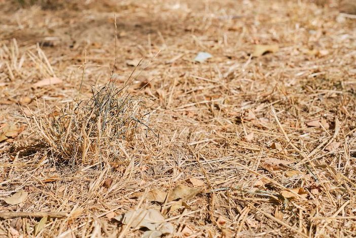 Crisi idrica, la Valle resta in affanno; perso il 20% della disponibilità d'acqua Crisi idrica, la Valle resta in affanno; perso il 20% della disponibilità d'acqua