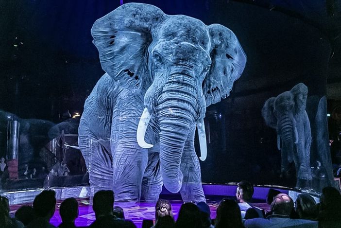 La 'grande magia' del circo Medini con animali olografici alla Croix Noire