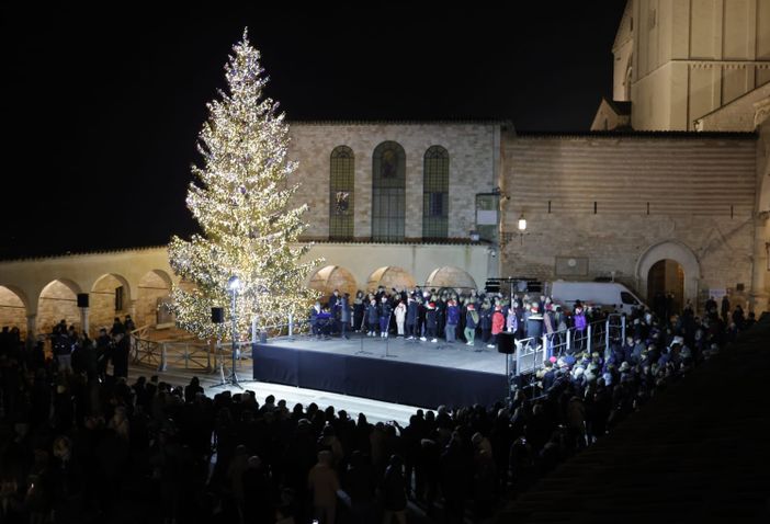 Acceso ad Assisi l'albero di Natale donato dalla Valle d'Aosta