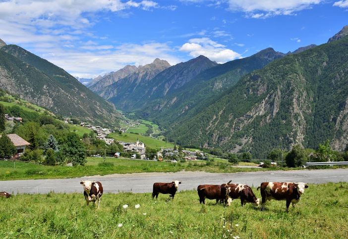 Prorogato avviso pubblico per il progetto 'Giovani valdostani in montagna' Prorogato avviso pubblico per il progetto 'Giovani valdostani in montagna'