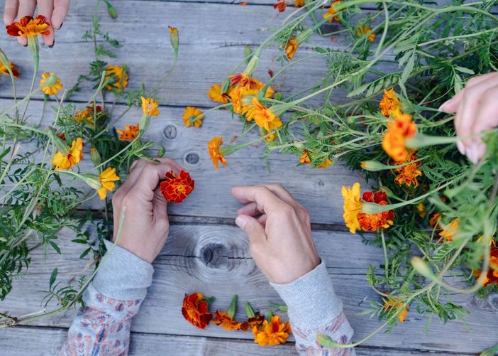 Con Studio Sun a St-Barthélemy un percorso tra erboristeria scientifica e 'magia' delle piante Con Studio Sun a St-Barthélemy un percorso tra erboristeria scientifica e 'magia' delle piante