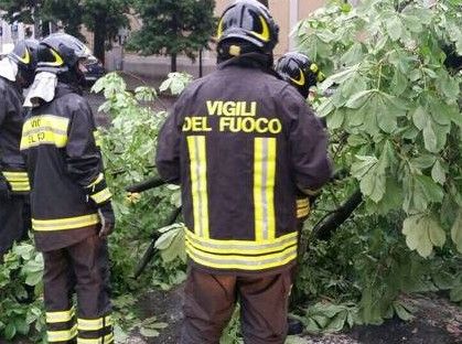 Raffiche di vento su Aosta; alberi caduti, coperture divelte e un'auto danneggiata Raffiche di vento su Aosta; alberi caduti, coperture divelte e un'auto danneggiata