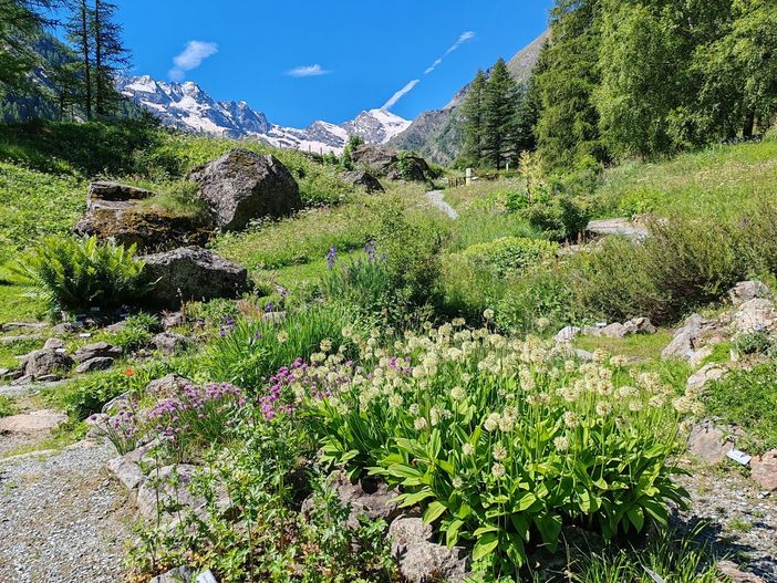 Uno scorcio di Paradisia (photo credit qui e nel testo, Andrea Mainetti)