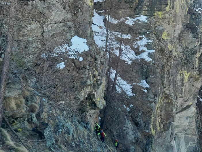 Recuperati sani e salvi dai Vigili del fuoco i due cani dispersi in una zona impervia a Ollomont