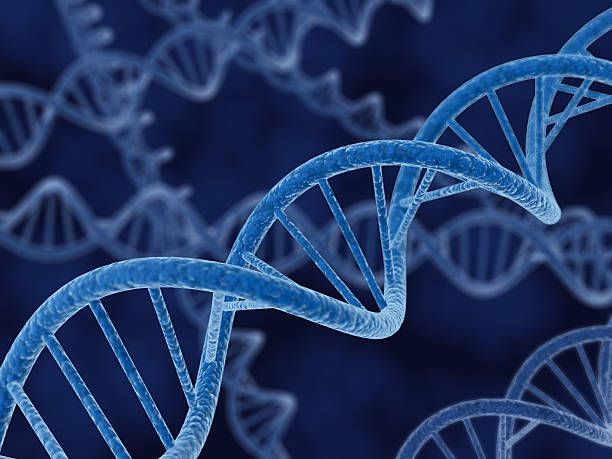 Nuova prospettiva sulla formazione degli anelli di Dna nei tumori Nuova prospettiva sulla formazione degli anelli di Dna nei tumori