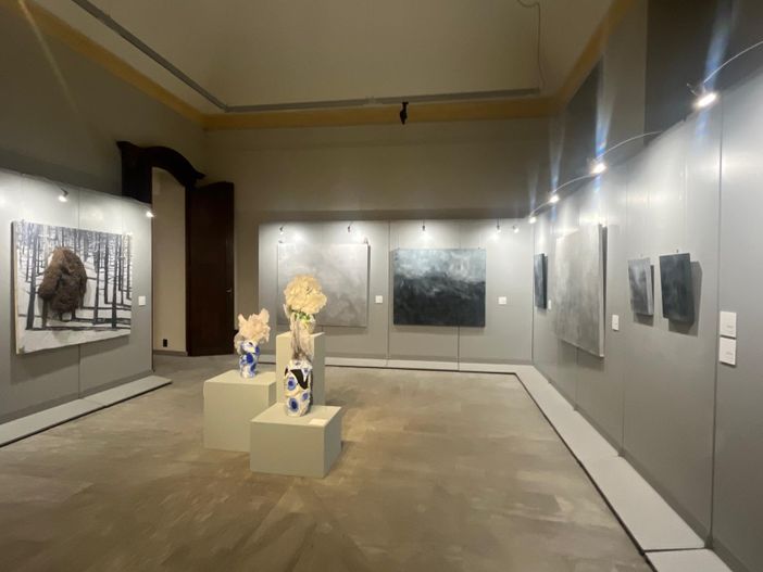 'Troppo anguste le sale per la bellissima mostra di Massimo Sacchetti'