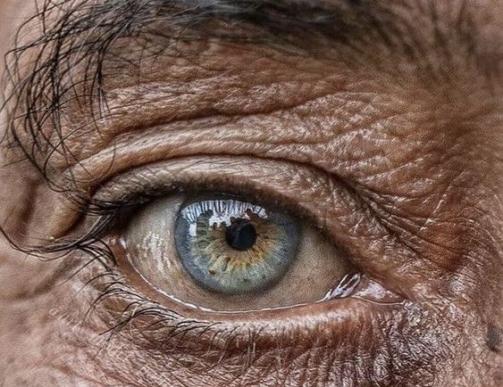 Su LAPRIMALINEA.IT la cultura dell’uguaglianza contro la banalità del male