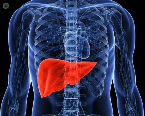 Trapianto di fegato pediatrico e adulto, novità e futuro in un convegno ad Aosta Trapianto di fegato pediatrico e adulto, novità e futuro in un convegno ad Aosta